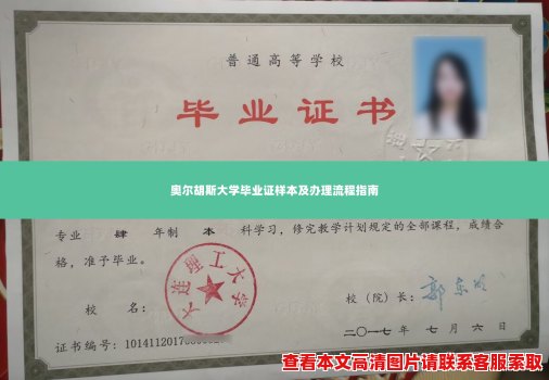 奥尔胡斯大学毕业证样本及办理流程指南