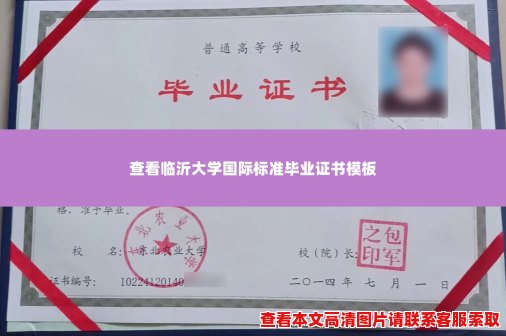 查看临沂大学国际标准毕业证书模板 查看临沂大学国际标准毕业证书模板
