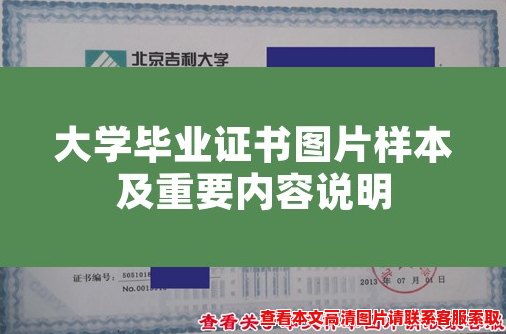 大学毕业证书图片样本及重要内容说明