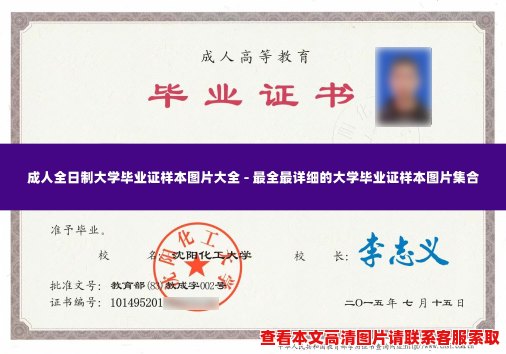 成人全日制大学毕业证样本图片大全 - 最全最详细的大学毕业证样本图片集合 成人全日制大学毕业证样本图片大全 - 最全最详细的大学毕业证样本图片集合