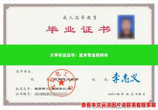 大学毕业证书：武术专业的样本