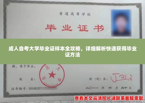 成人自考大学毕业证样本全攻略，详细解析快速获得毕业证方法