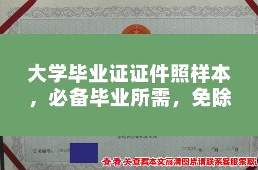 大学毕业证证件照样本，必备毕业所需，免除拍照烦恼