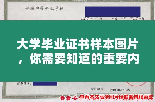 大学毕业证书样本图片，你需要知道的重要内容