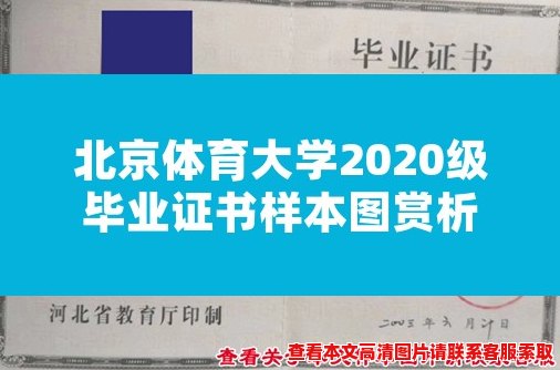 北京体育大学2020级毕业证书样本图赏析