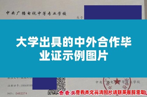 大学出具的中外合作毕业证示例图片