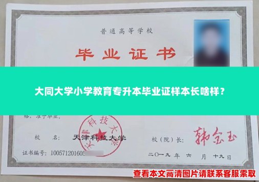 大同大学小学教育专升本毕业证样本长啥样？