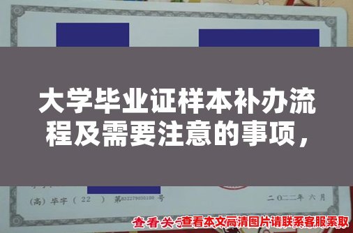 大学毕业证样本补办流程及需要注意的事项,详细解析 大学毕业证样本补办流程及需要注意的事项,详细解析