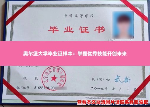 奥尔堡大学毕业证样本：掌握优秀技能开创未来