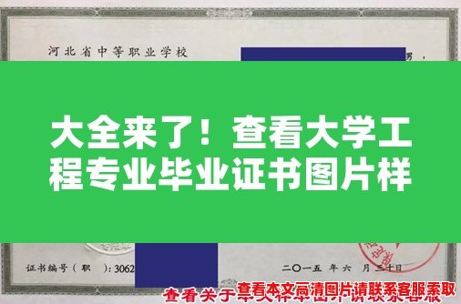 大全来了！查看大学工程专业毕业证书图片样本