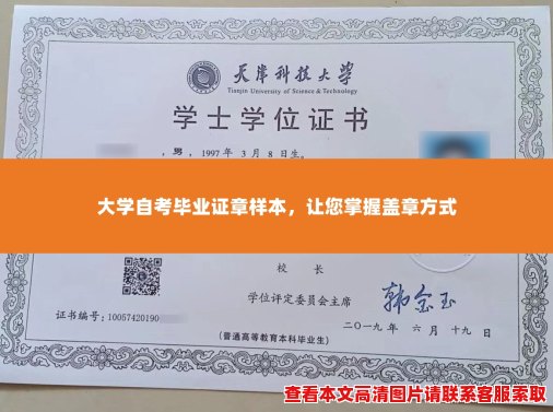 大学自考毕业证章样本，让您掌握盖章方式