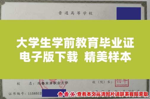 大学生学前教育毕业证电子版下载 精美样本简洁实用 大学生学前教育毕业证电子版下载 精美样本简洁实用