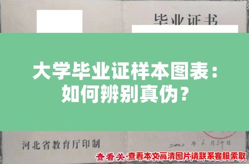 大学毕业证样本图表:如何辨别真伪? 大学毕业证样本图表:如何辨别真伪?