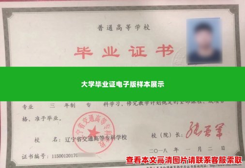 大学毕业证电子版样本展示 大学毕业证电子版样本展示