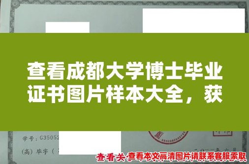 查看成都大学博士毕业证书图片样本大全,获取最新格式! 查看成都大学博士毕业证书图片样本大全,获取最新格式!