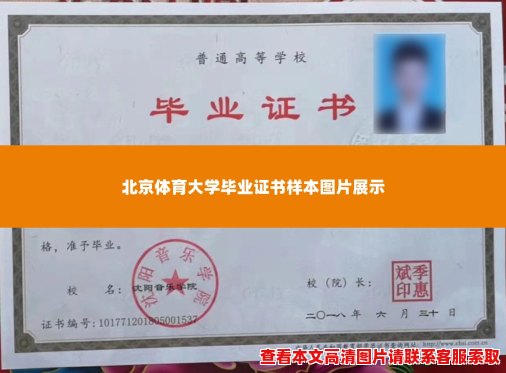 北京体育大学毕业证书样本图片展示 北京体育大学毕业证书样本图片展示