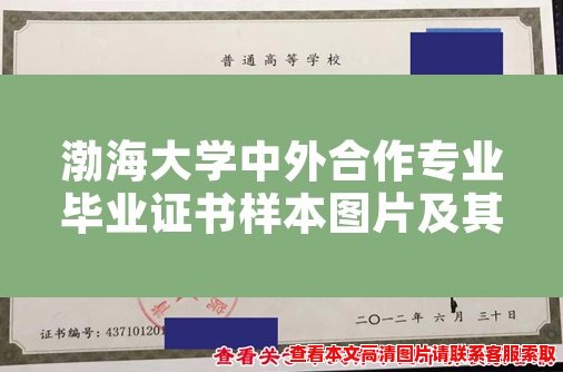 渤海大学中外合作专业毕业证书样本图片及其样式设计 渤海大学中外合作专业毕业证书样本图片及其样式设计