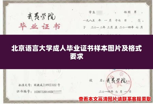北京语言大学成人毕业证书样本图片及格式要求 北京语言大学成人毕业证书样本图片及格式要求