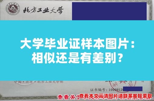 大学毕业证样本图片:相似还是有差别? 大学毕业证样本图片:相似还是有差别?