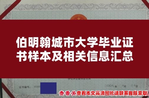 伯明翰城市大学毕业证书样本及相关信息汇总