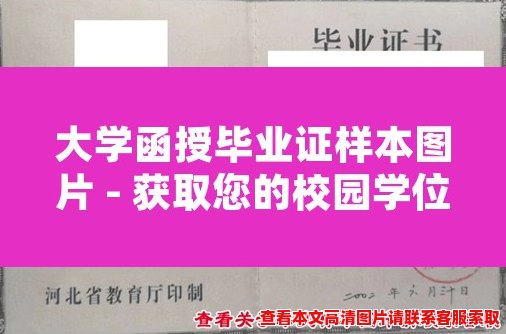 大学函授毕业证样本图片 - 获取您的校园学位证书